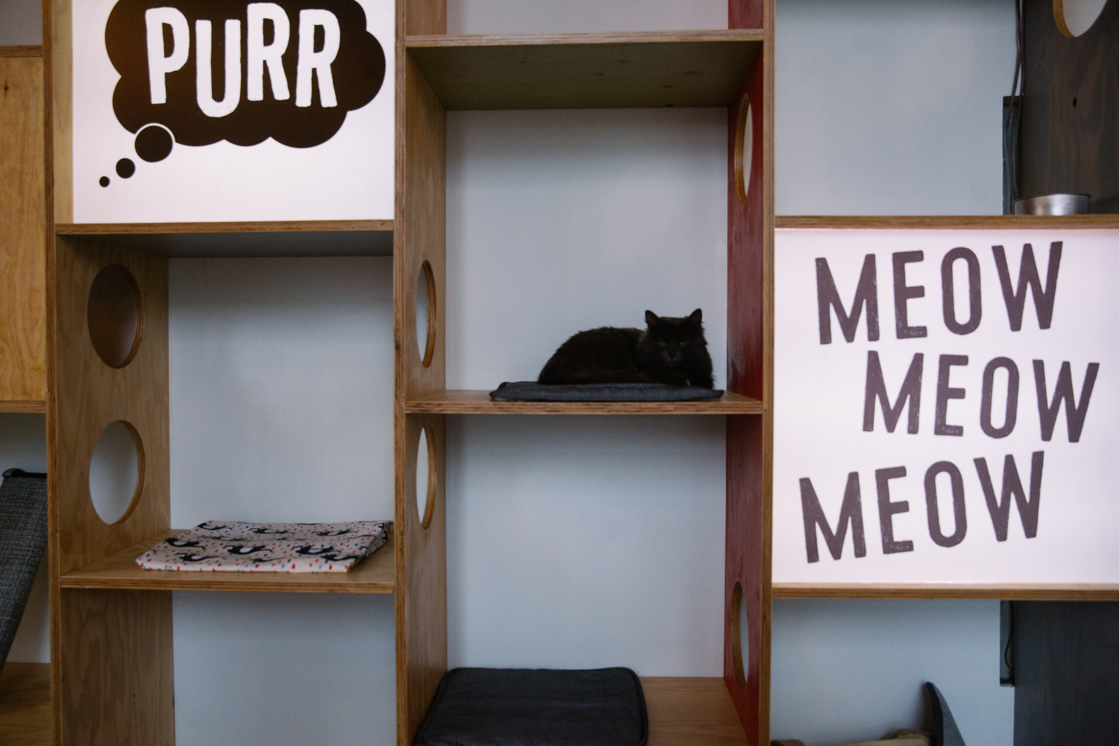 36 hours in Vancouver BC (mostly eating) Seattle Refined