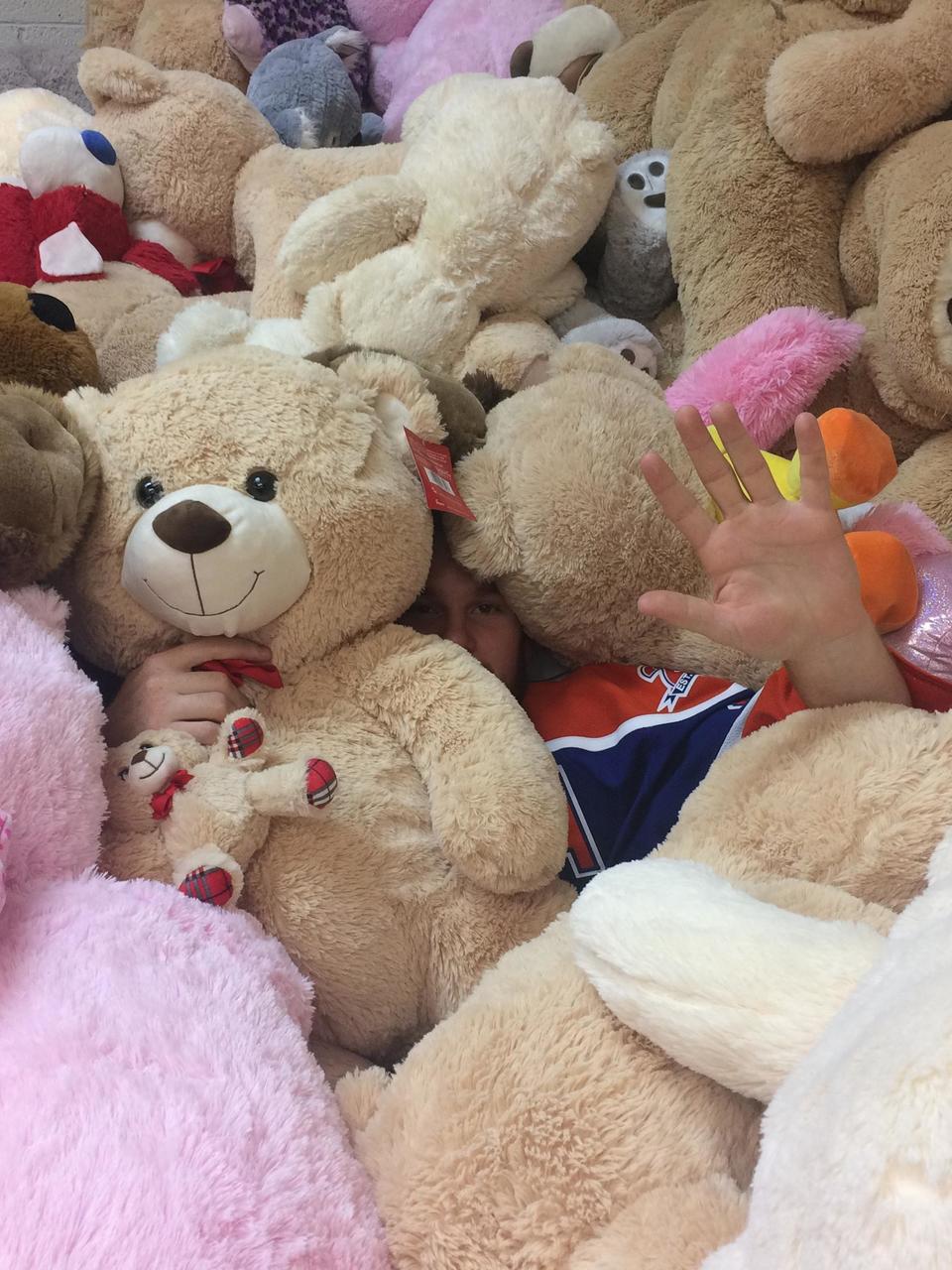 i need a teddy bear