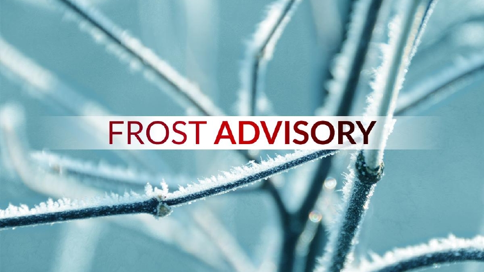 Image result for Frost warning pictures