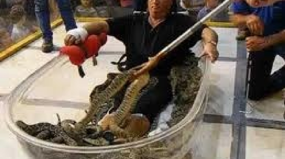 Snake handler loses leg to rattlesnake bite; Brownwood fundraiser being