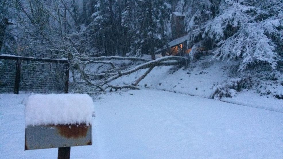 11 inches of snow in Eugene makes it snowiest February day in over 100