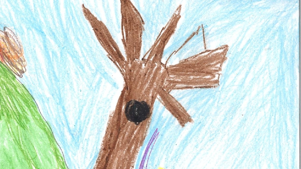 Brynn-Machalleck.jpg Brynn-Machalleck.jpg