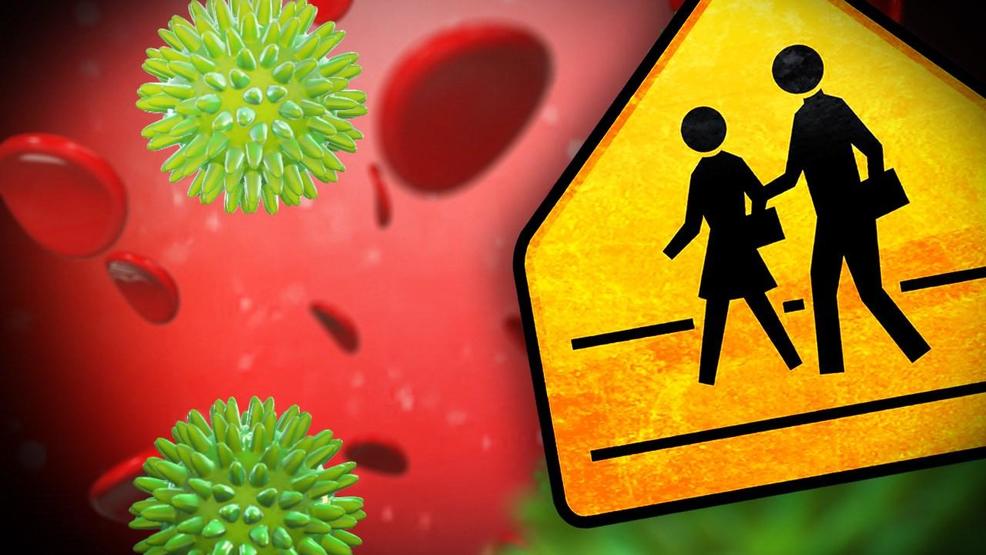 Sweet Home students out sick with 'stomach bug'; 1 case confirmed to be norovirus - nbc16.com thumbnail