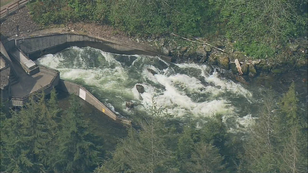 Search resumes for teen presumed drowned in Snoqualmie River KOMO