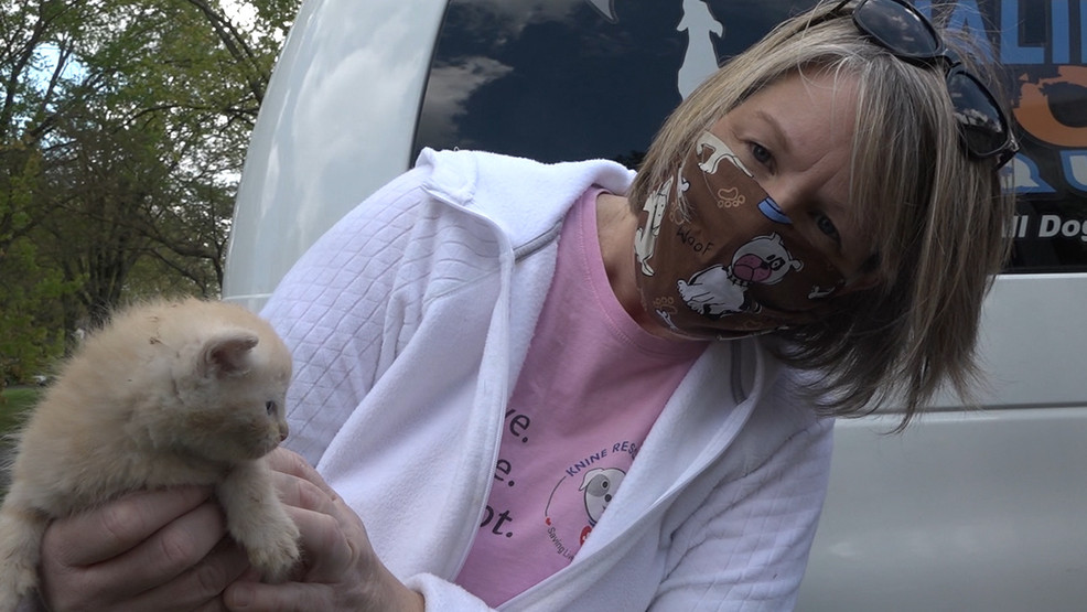 Maryland animal rescue group sees huge increase in pets being