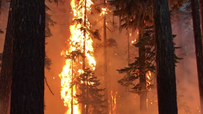 Oregon National Guard heads to wildfire near Crater Lake