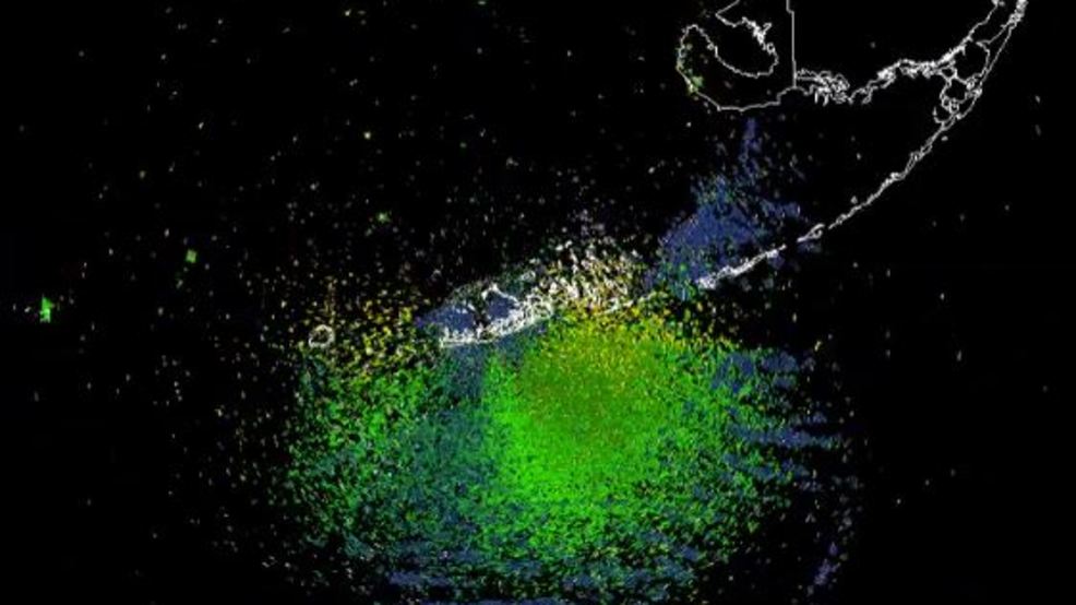 Massive Bird Migration Captured On Weather Radar Wtvx