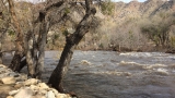 Photos: Kern River swollen from recent rainfall