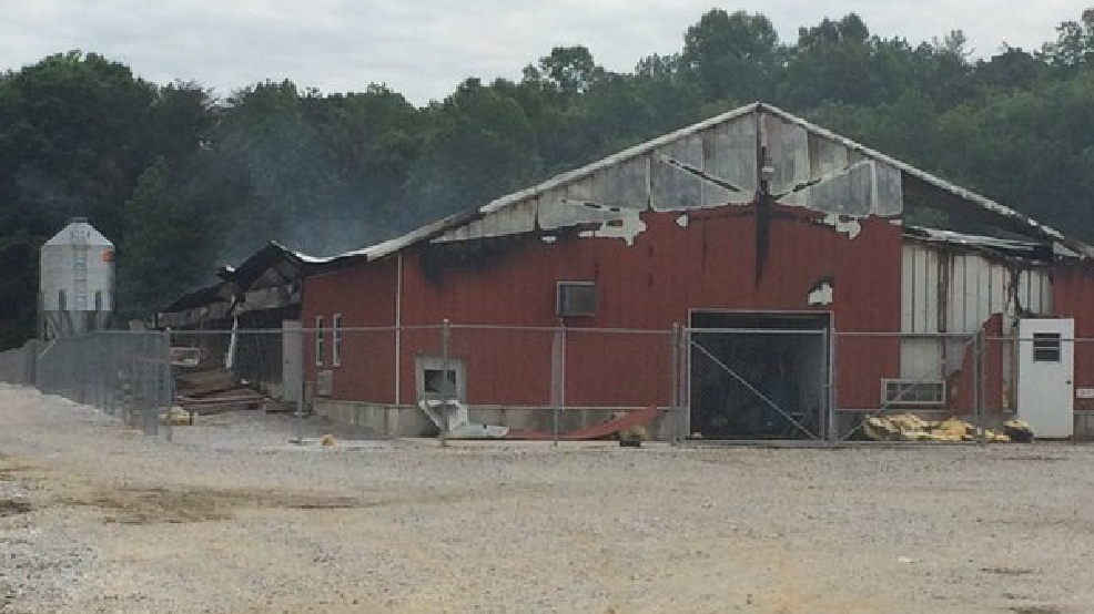 8,000 chickens dead in Rhea County poultry farm fire WTVC