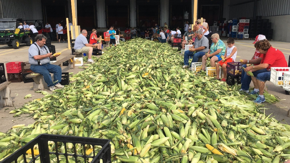 Shuckfest 2016 kicks off the Sweet Corn Festival in West Point, Iowa | KHQA