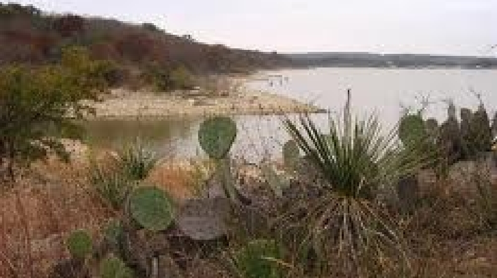 Hundreds Enjoy Lake Brownwood State Park For Their Annual Open