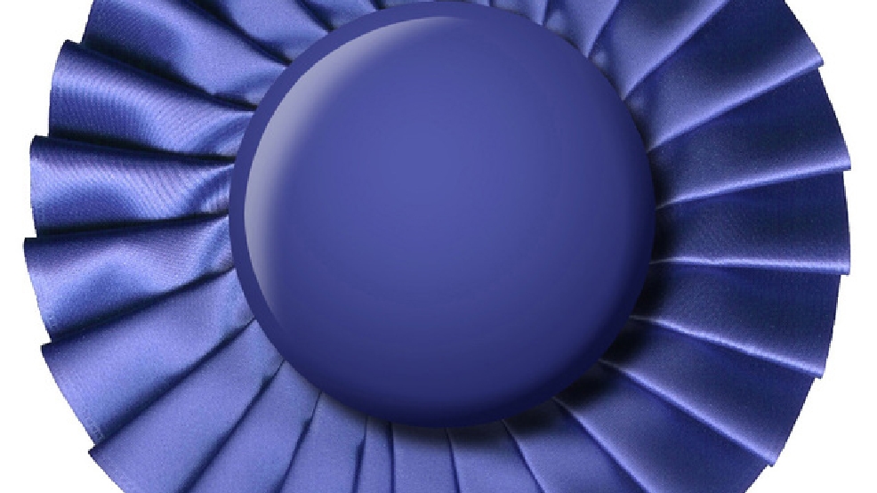 blue-ribbon-1148628-639x915.jpg blue-ribbon-1148628-639x915.jpg