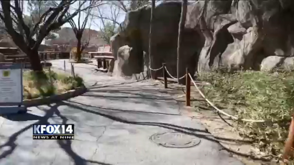 After more than a decade, the El Paso Zoo says farewell to its director KFOX