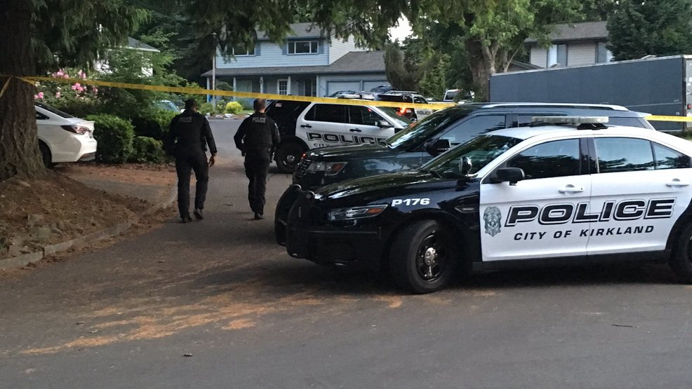 Arrest made in deadly stabbing at Kirkland home KOMO