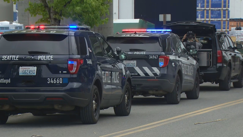 Seattle Police dn22 W Seattle Shooting_frame_795.jpg