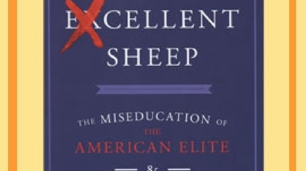Excellent-Sheep.jpg