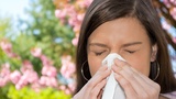 Suffering from spring allergies? Experts say they're getting worse