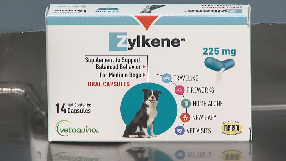 For dogs used klonopin