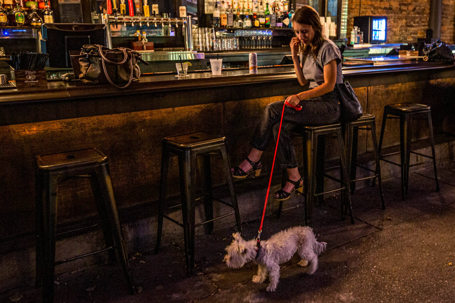 10 DogFriendly Bars That Have Us Sitting & Staying For Happy Hour