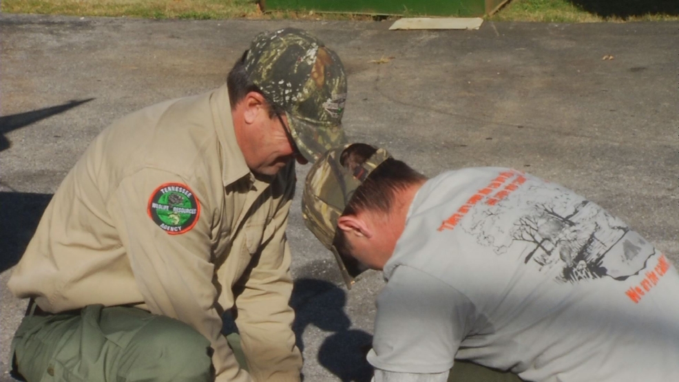 TWRA uses opening day of muzzleloader season to aid deer study WCYB