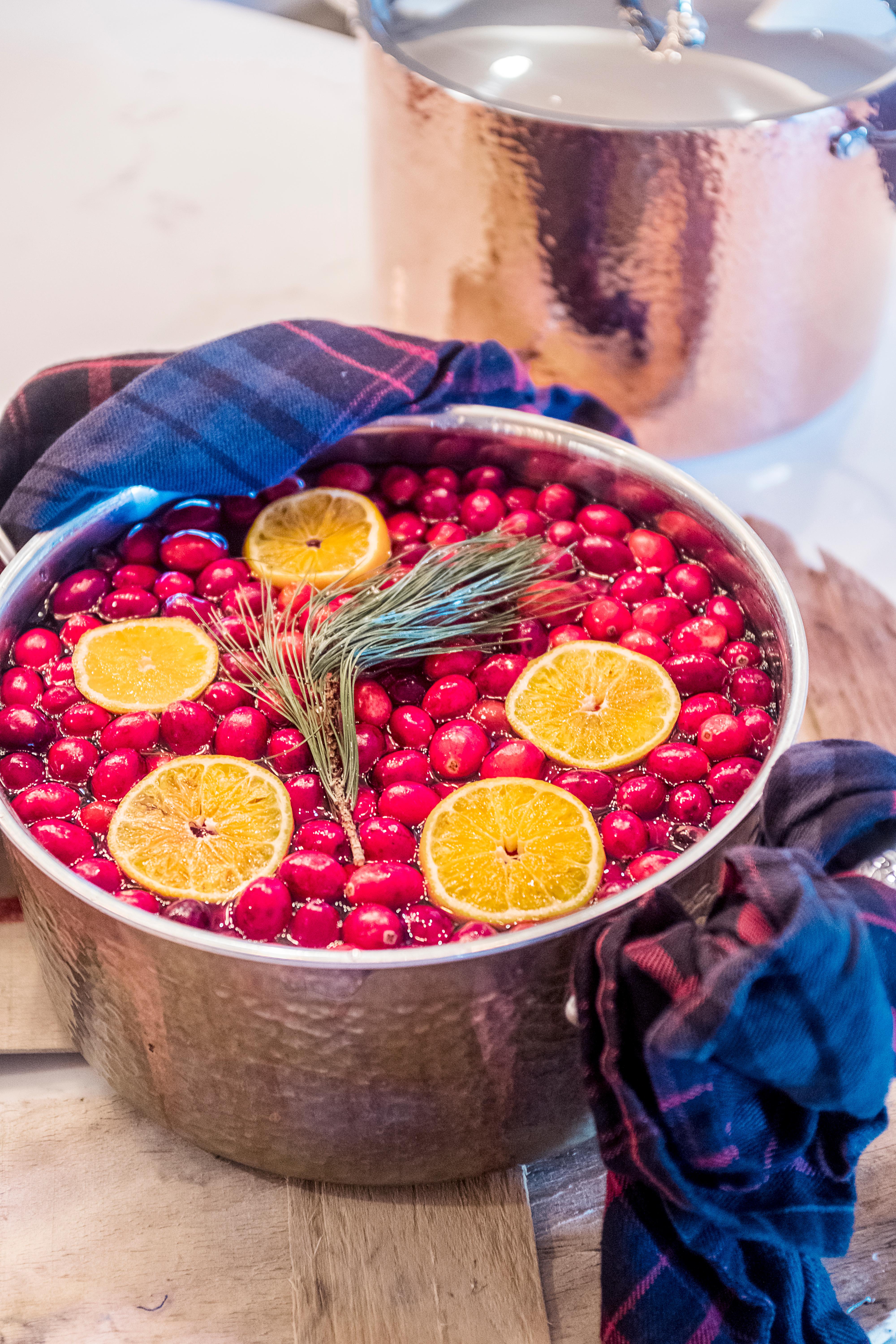 How to DIY your own stove top potpourri at home DC Refined