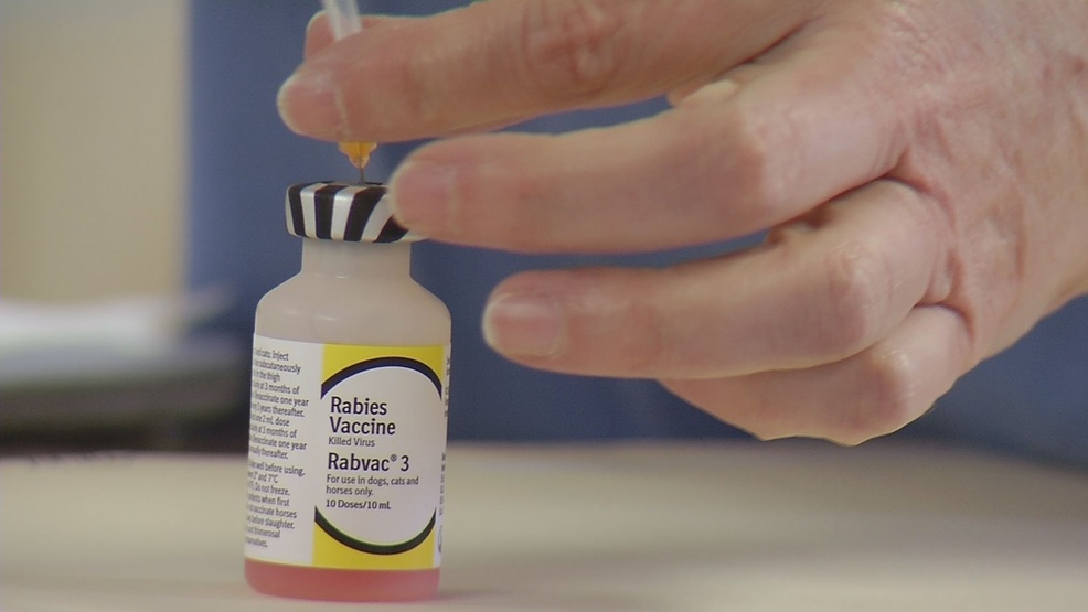 get-your-pet-s-rabies-vaccination-at-a-low-cost-wcyb